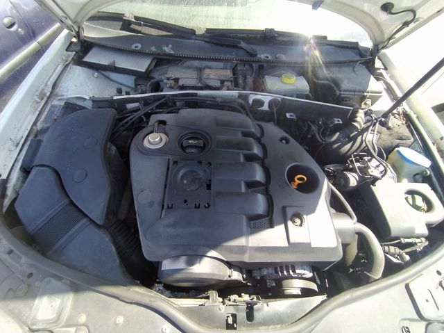 AVF VAG