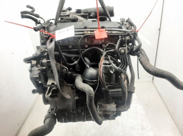 AVQ VAG