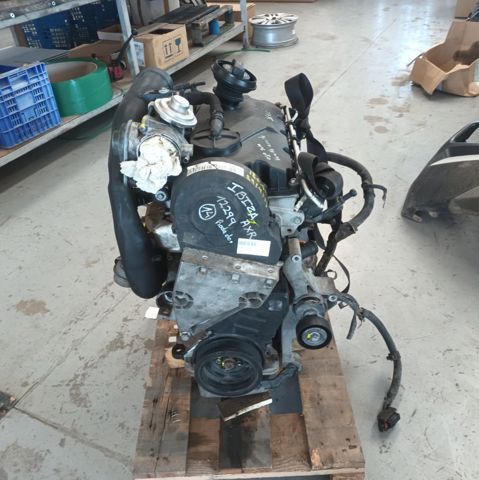 AXR VAG