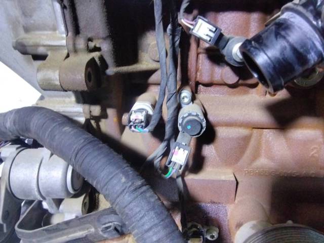 Motor montado para Ford Focus HN