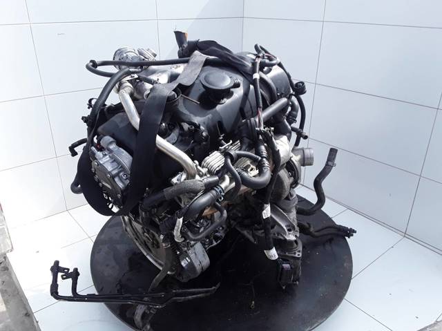 BAC VAG