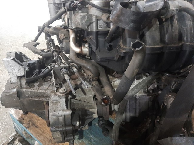 BCA VAG