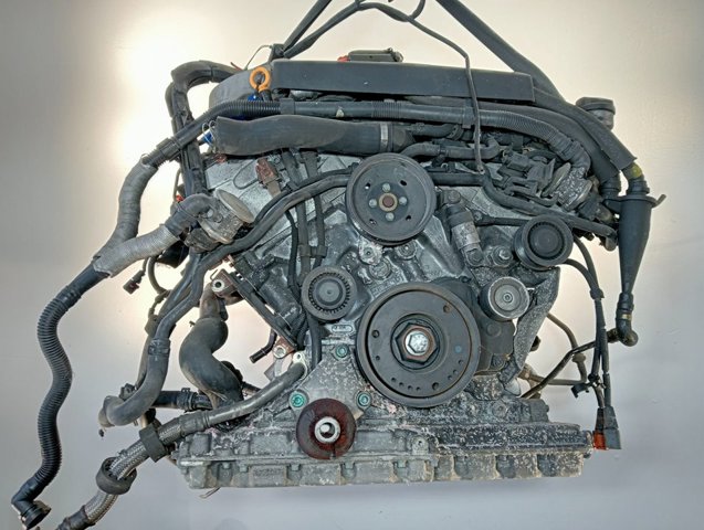 BDN VAG