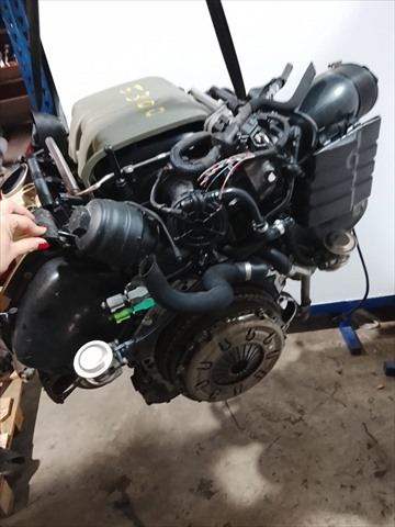 BDW VAG