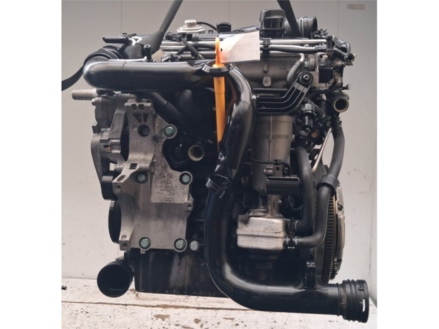 BKC VAG