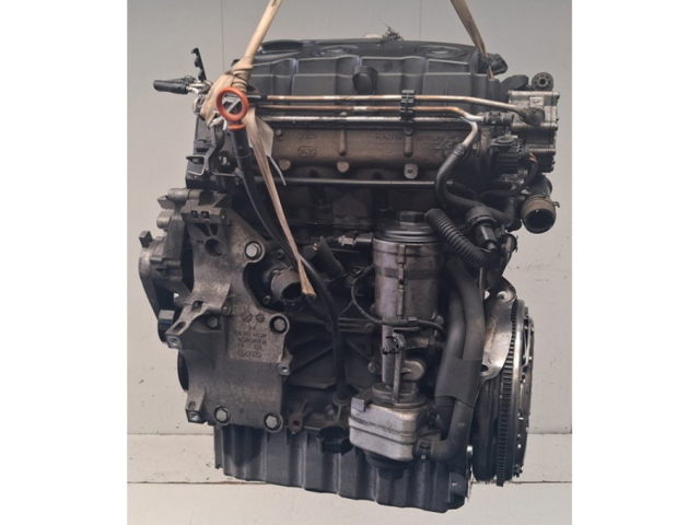 BLS VAG