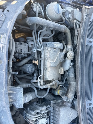 BNV VAG