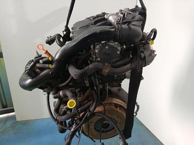 BPZ VAG