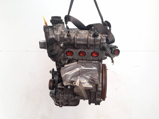 BXV VAG