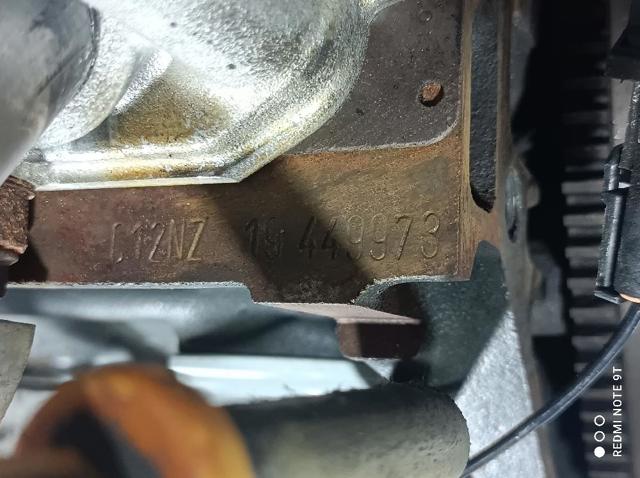 C12NZ Opel