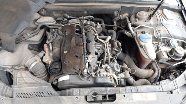 CAGA VAG