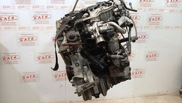 CAGA VAG