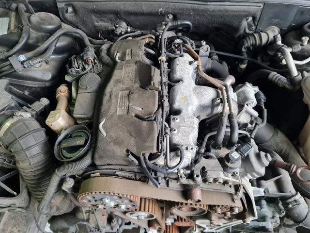CAGA VAG