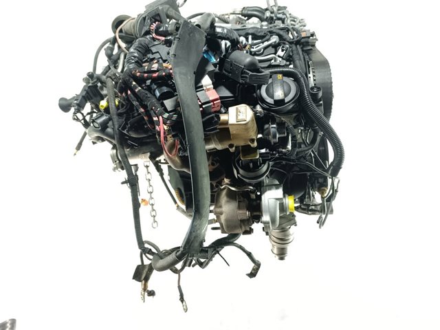 CAGA VAG