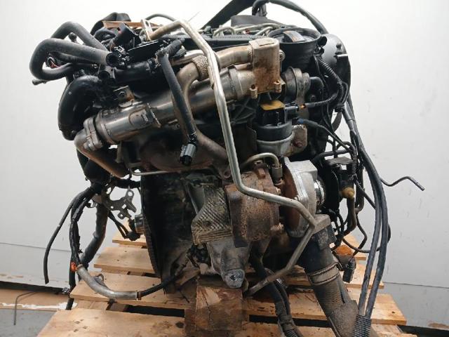 CAGA VAG