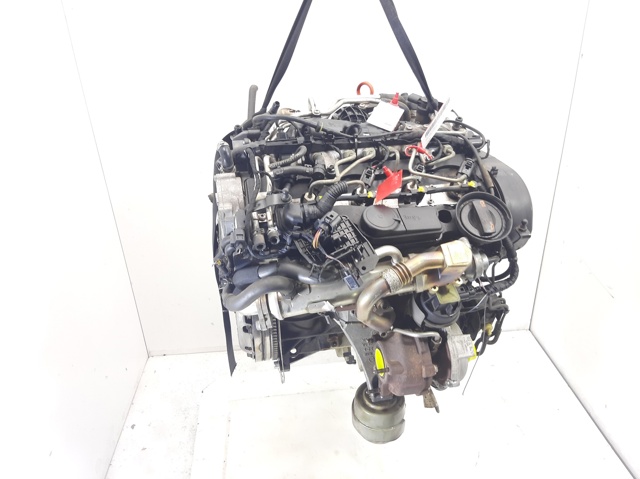 CAGC VAG