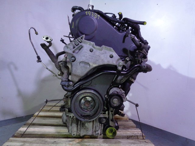 CFHC VAG