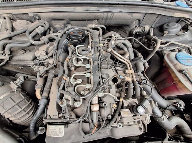 CJC VAG
