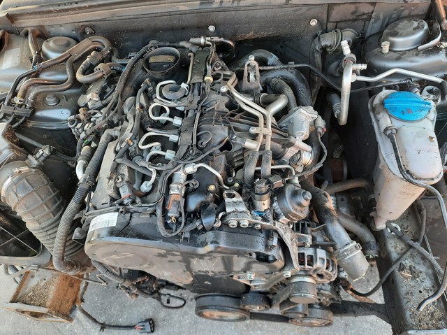 CJCD VAG