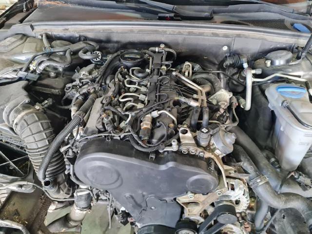 CJCD VAG