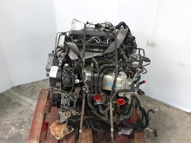 CKFC VAG