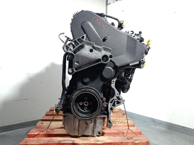 CKFC VAG