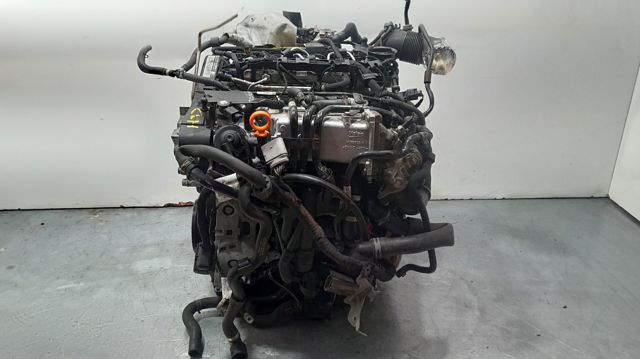 CLHA VAG