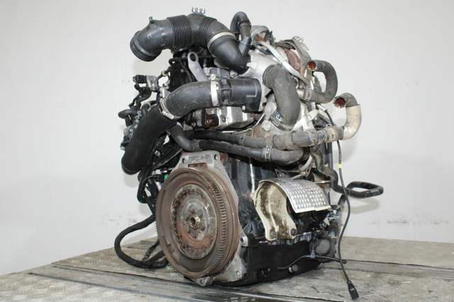 CLHA VAG