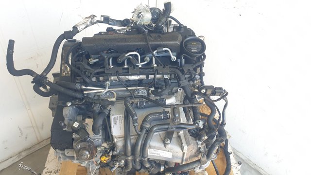 CLHB VAG