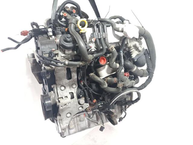 CUVC VAG