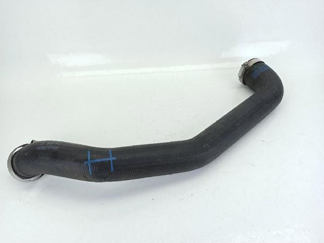 Mangueira (cano derivado) de intercooler CV616C646AK FORD