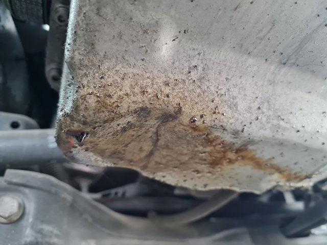 CYVB VAG