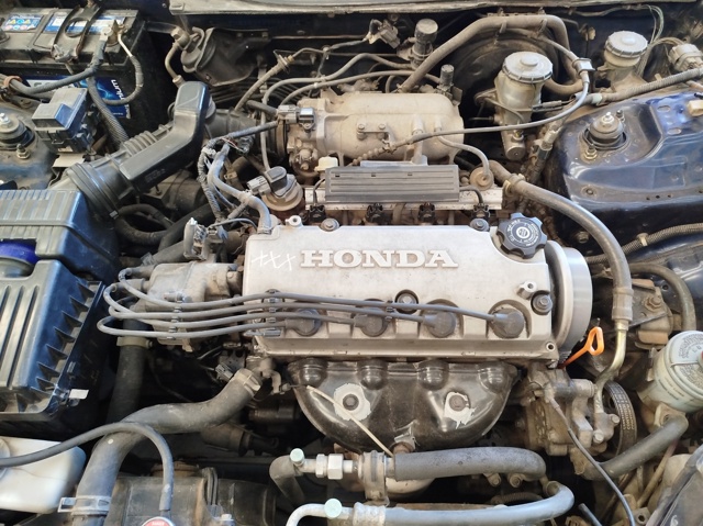 D15Z6 Honda