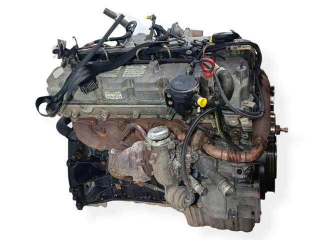  para SsangYong Rodius  ()