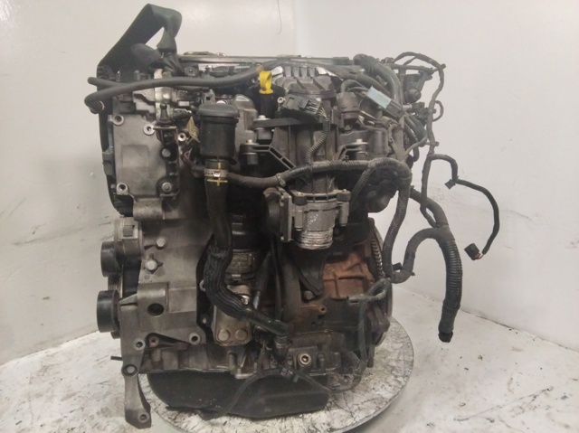 Motor montado D4204T FORD