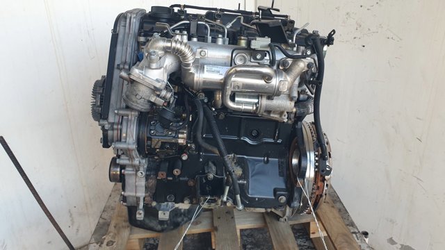 Comprar  H-1 STAREX  TQ