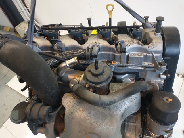 D4EA Hyundai/Kia