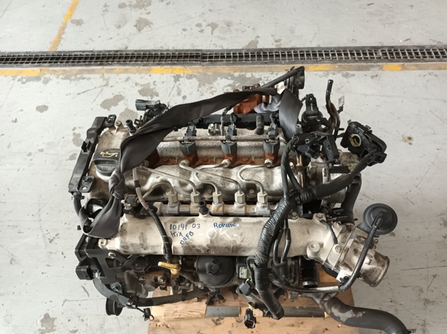 D4FB Hyundai/Kia