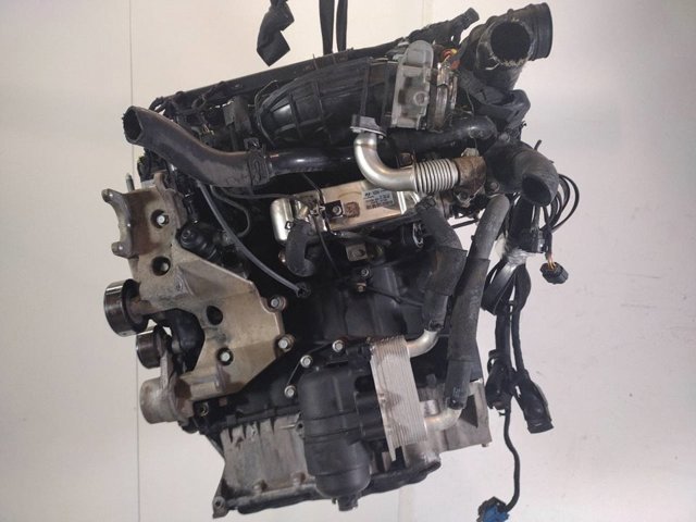 D4HB Hyundai/Kia