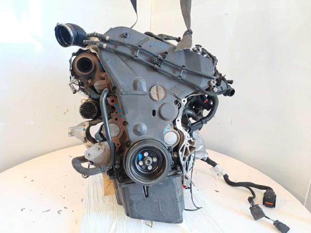 Audi A4 (8W2, 8WC)