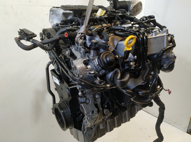 DFG VAG