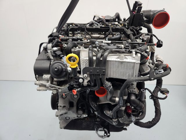 DFGA VAG