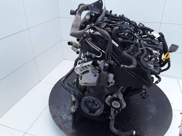 DGT VAG