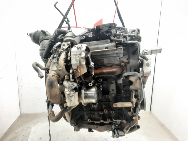 DGT VAG