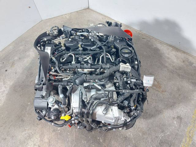 DGT VAG