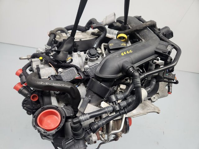 DKRF VAG