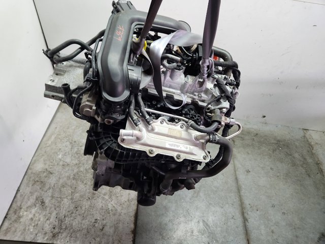 DKRF VAG