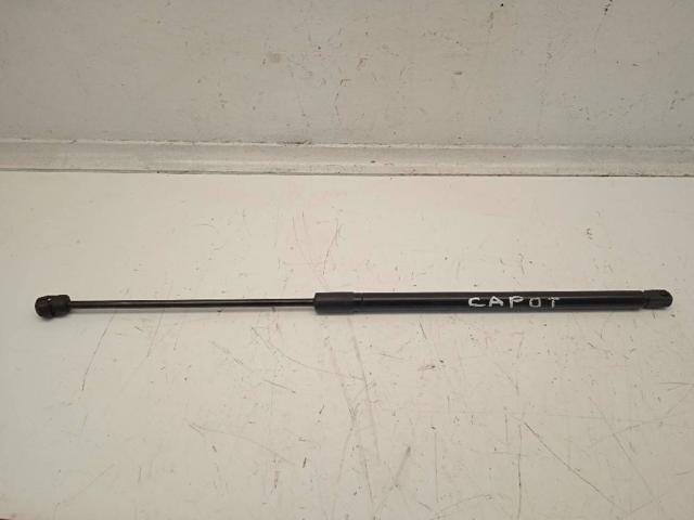 Amortecedor da capota DS73F16C827AC FORD