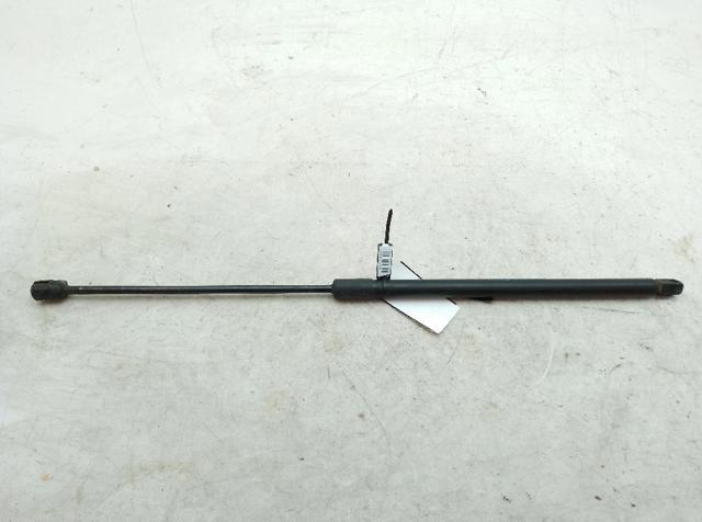 Amortecedor da capota DS73F16C827AC FORD