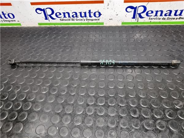 Amortecedor da capota DS73F16C827AC FORD